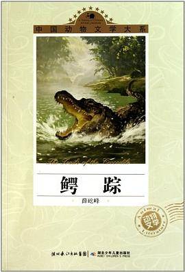 鳄踪