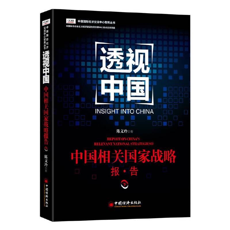 透视中国 中国相关国家战略报告.下