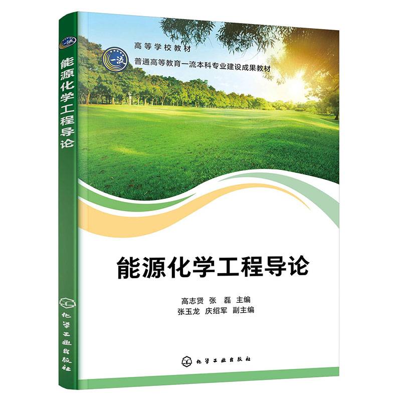 能源化学工程导论（高志贤）