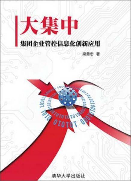 大集中――集团企业管控信息化创新应用