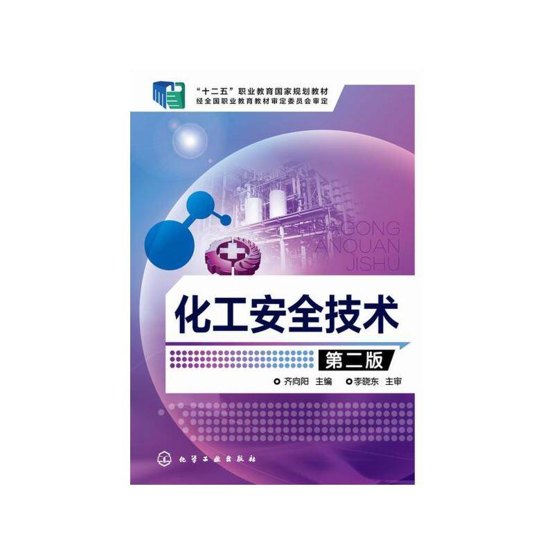 化工安全技术(齐向阳)(第二版)