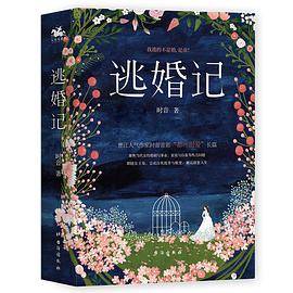 逃婚记  