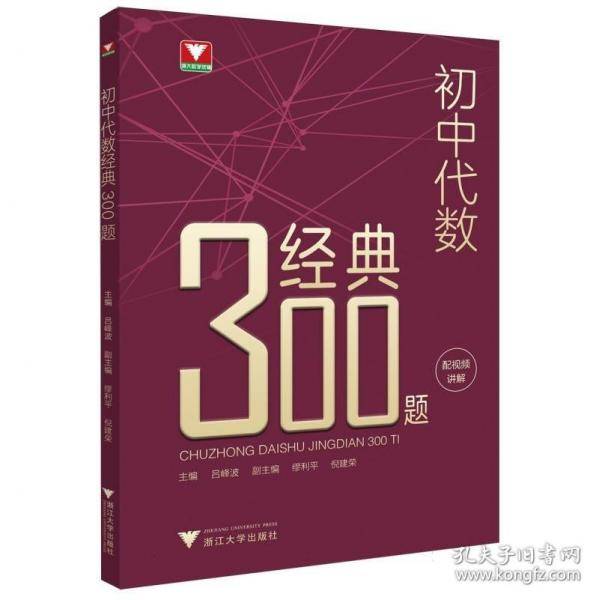 初中代数经典300题