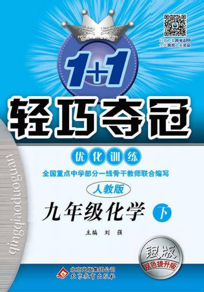 1+1轻巧夺冠・优化训练：九年级化学（下）・人教版 2018春