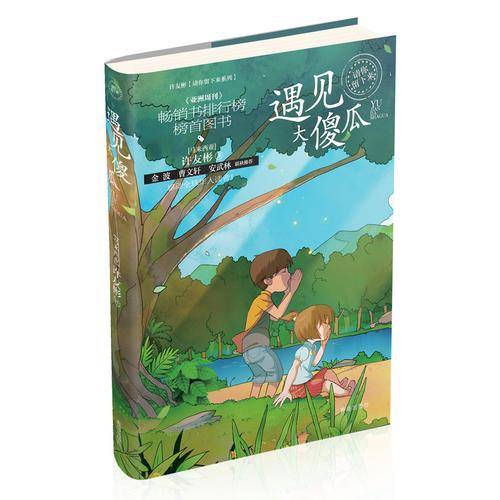 遇见大傻瓜/许友彬请你留下来系列
