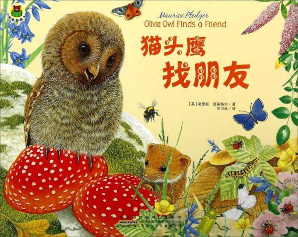 惊喜翻翻书：猫头鹰找朋友