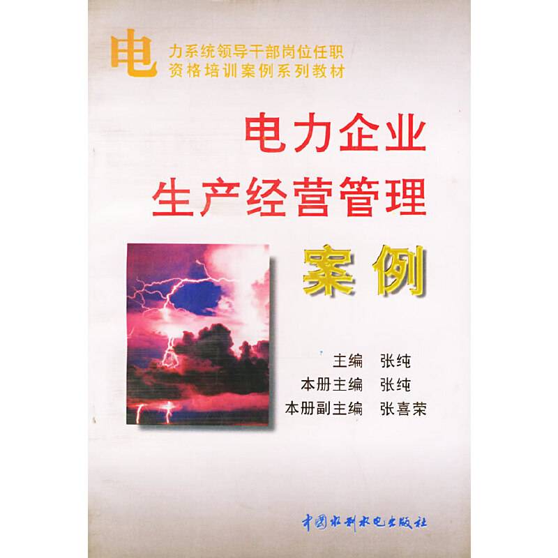 电力企业生产经营管理案例
