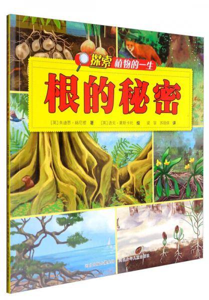 探索植物的一生 根的秘密