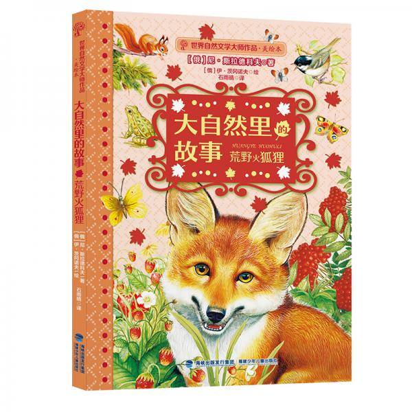 大自然里的故事 荒野火狐狸