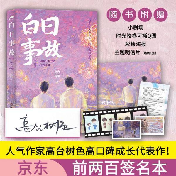 白日事故：完结篇