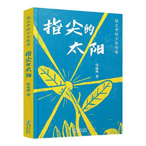 战火中的少年传奇·指尖的太阳