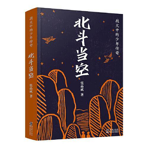 战火中的少年传奇·北斗当空