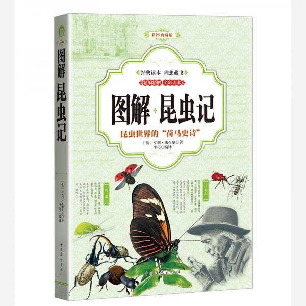 图解昆虫记