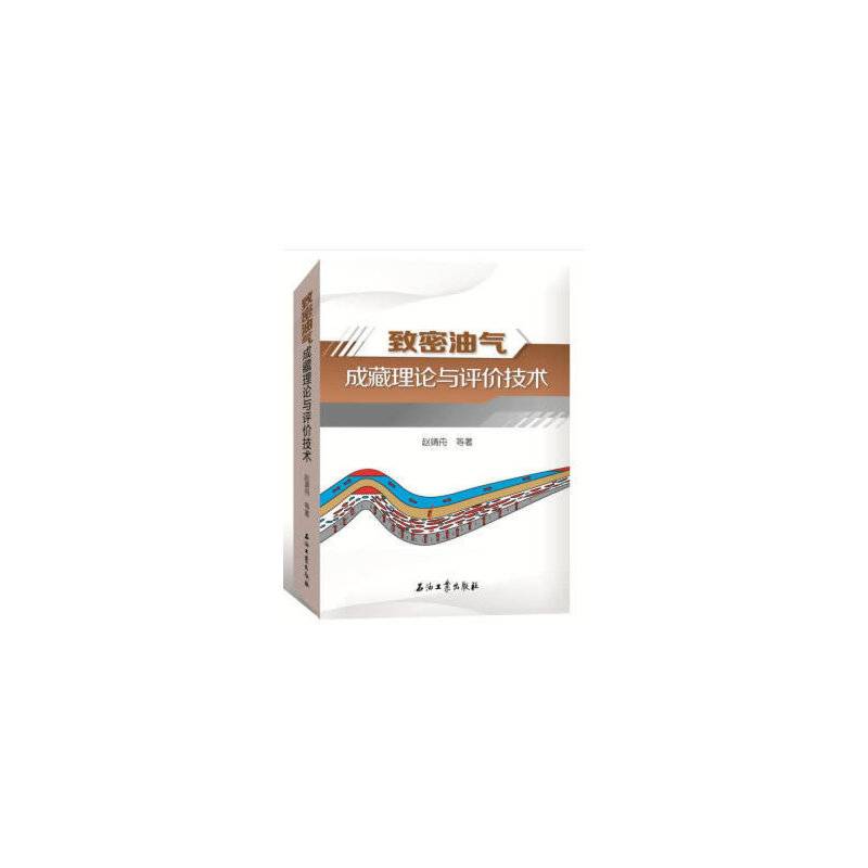 致密油气成藏理论与评价技术