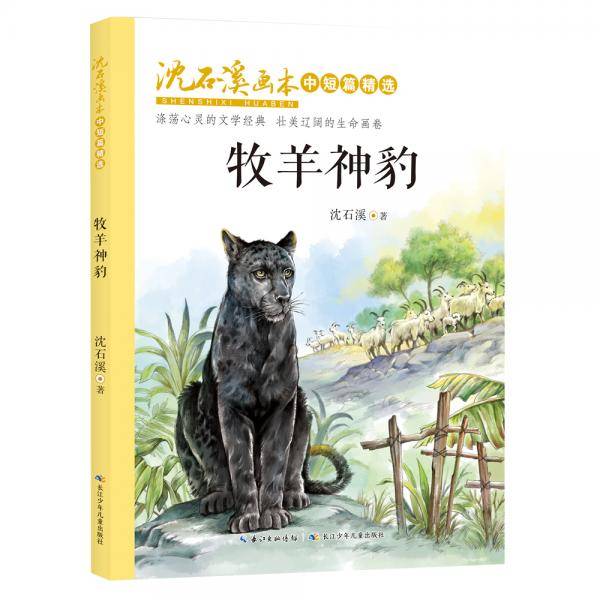 沈石溪画本・中短篇精选