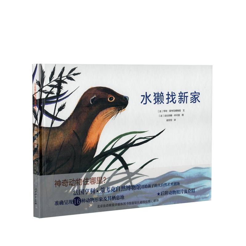 水獭找新家