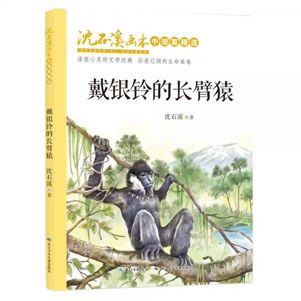 沈石溪画本・中短篇精选