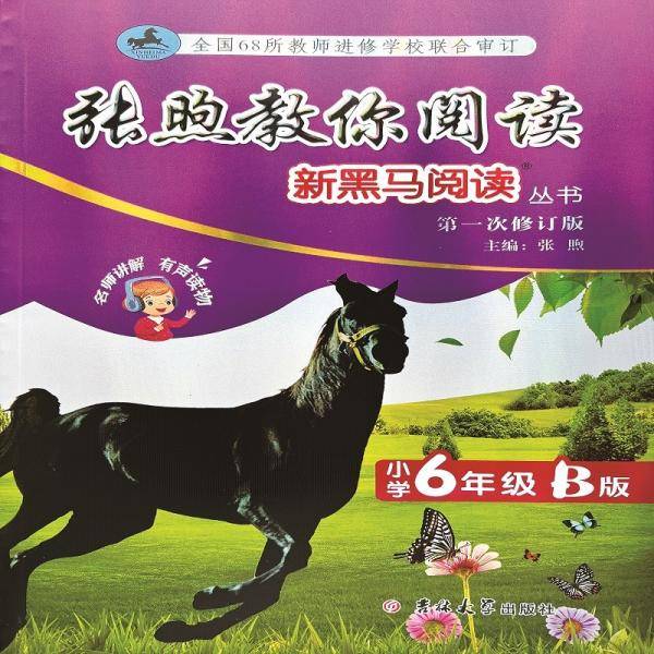 新黑马阅读丛书：张煦教你阅读.小学六年级.B版