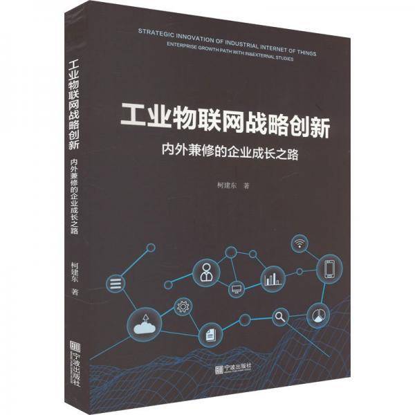 工业物联网战略创新(内外兼修的企业成长之路)