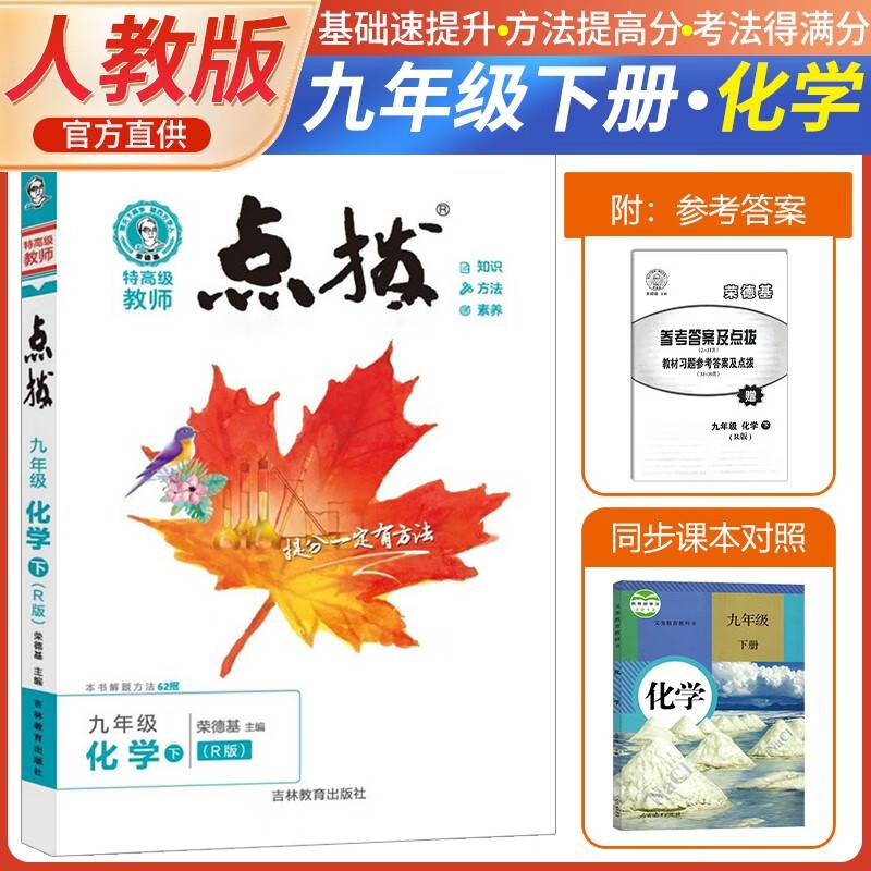 2024春特高级教师点拨九年级化学下册人教版初三9年级化学同步教材全解全析完全解读中学特高级教师讲解出版