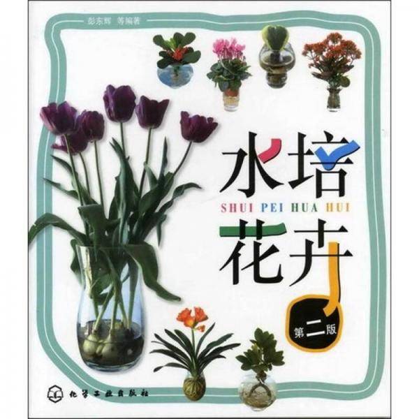 水培花卉