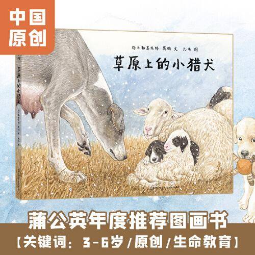 草原上的小猎犬