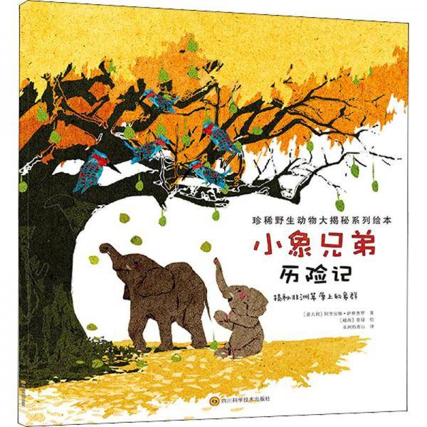 小象兄弟历险记