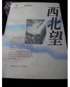 西北望
