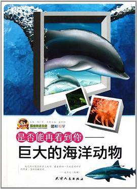 是否能再看到你