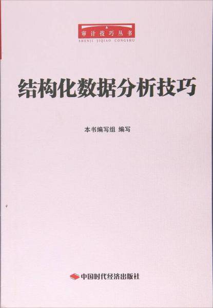 结构化数据分析技巧/审计技巧丛书