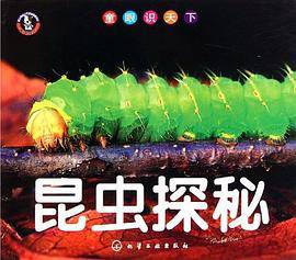 童眼识天下