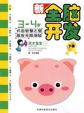 新全脑开发