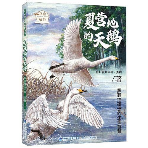 黑鹤给孩子的生命智慧·夏营地的天鹅