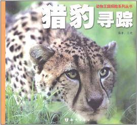 猎豹寻踪