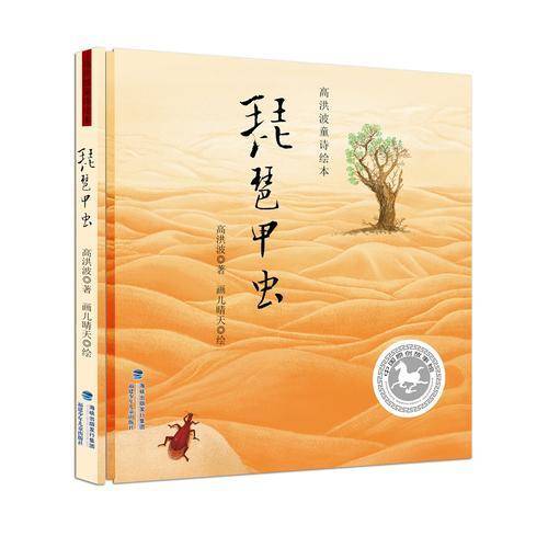 琵琶甲虫