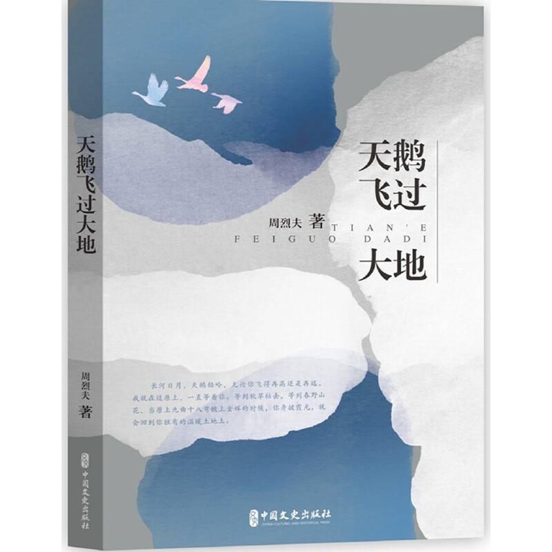 天鹅飞过大地