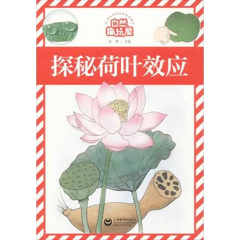 探秘荷叶效应