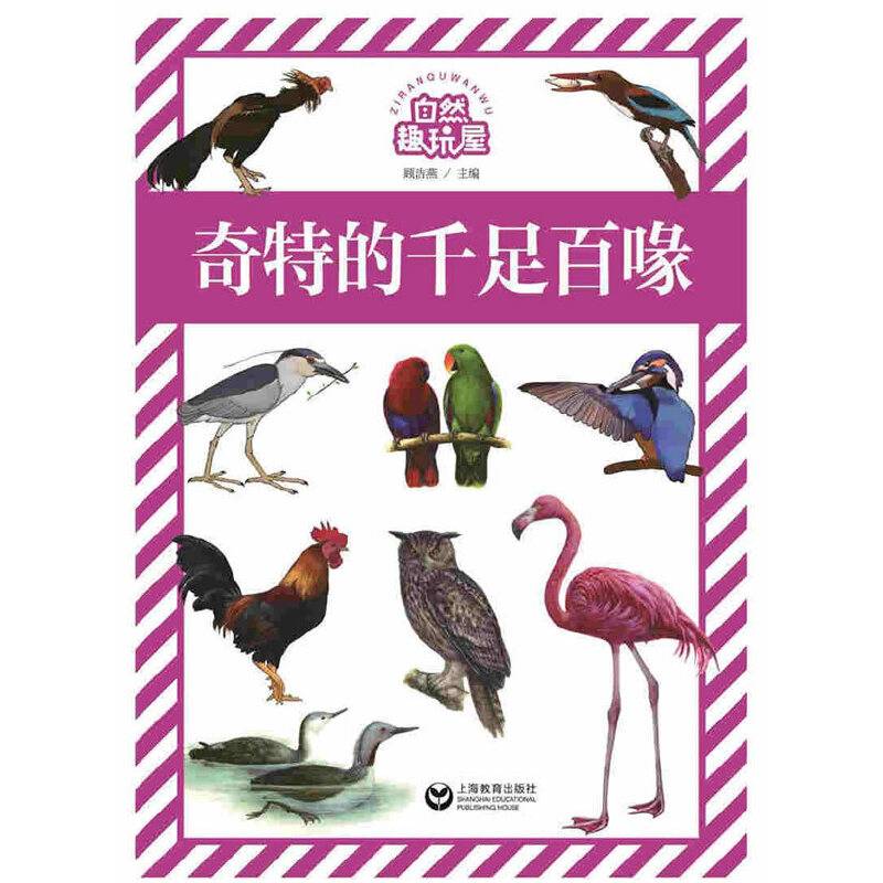 奇特的千足百喙