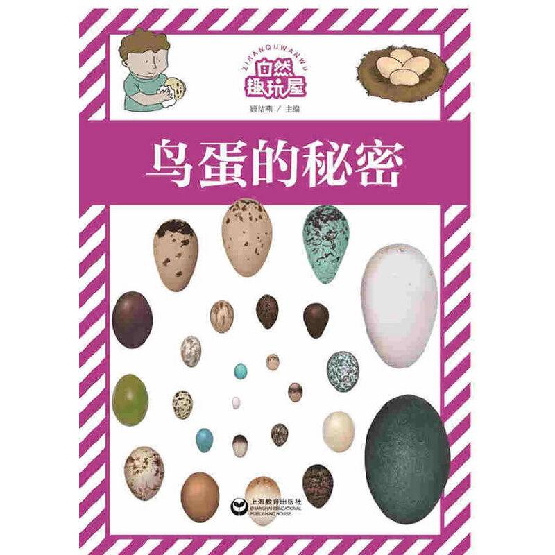 鸟蛋的秘密