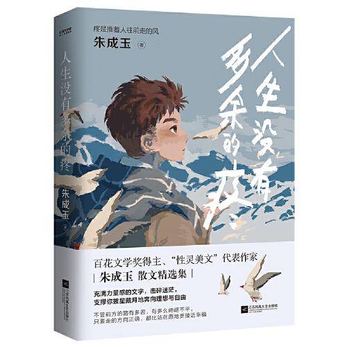 人生没有多余的疼（百花文学奖得主朱成玉的散文集，温柔坚韧，直戳心底！书中多篇文章入选语文教材、中高考试题）