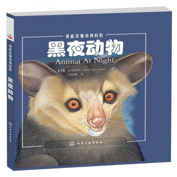 黑夜动物