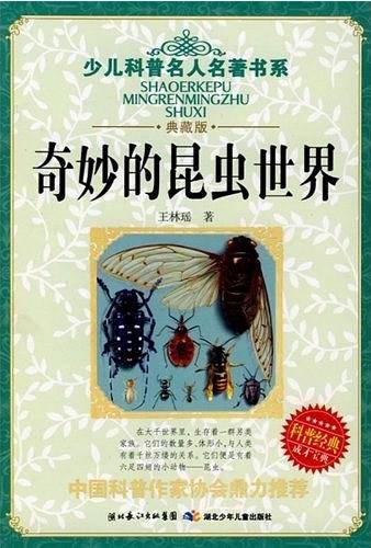 奇妙的昆虫世界