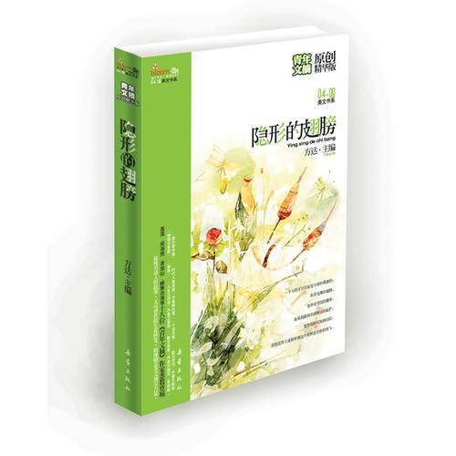 隐形的翅膀