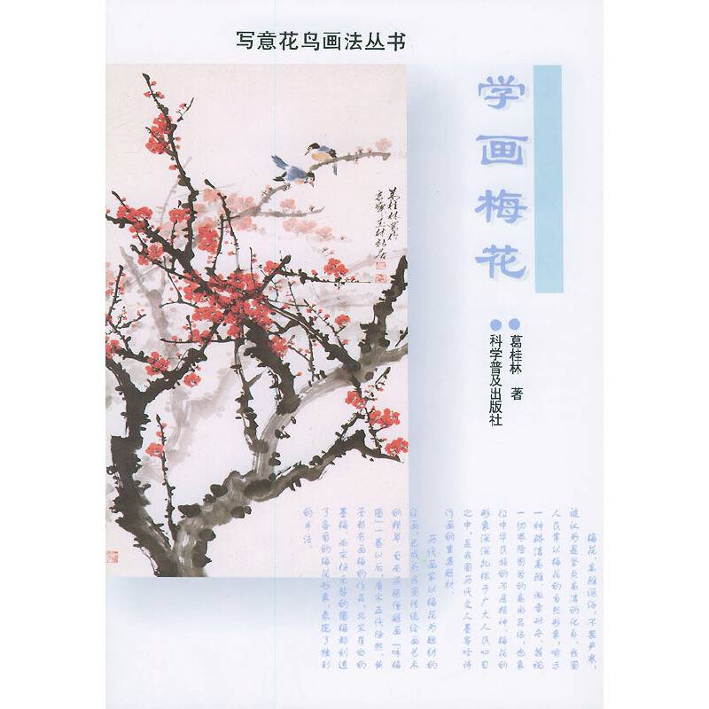 学画梅花