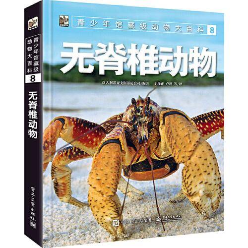 青少年馆藏级动物大百科 8 无脊椎动物