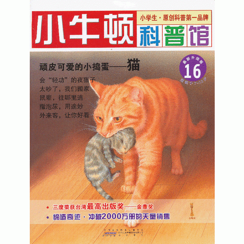 顽皮可爱的小捣蛋