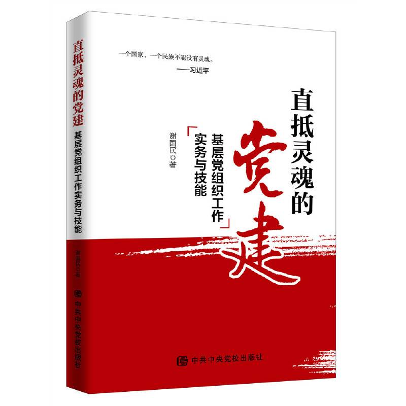 直抵灵魂的党建：基层党组织工作实务与技能