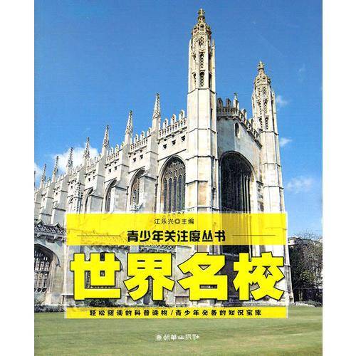 青少年关注度丛书