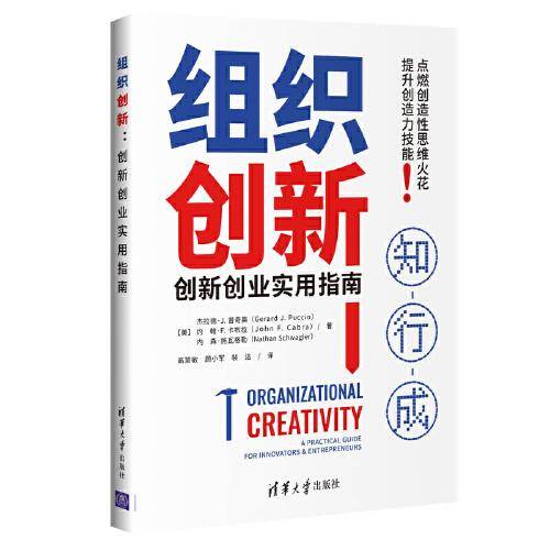 组织创新：创新创业实用指南