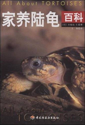 家养陆龟百科